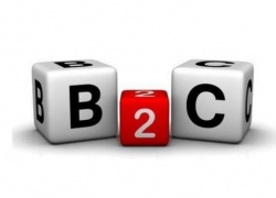 b2c电子商务网站有哪些类型